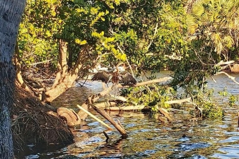 Croc´s & Turtle Aquarium — photo 4