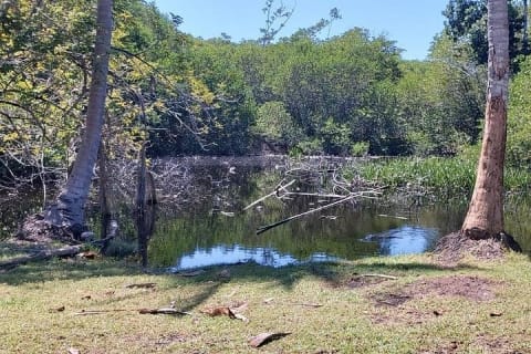Croc´s & Turtle Aquarium — photo 8