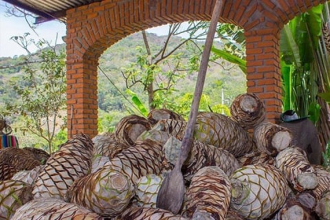 City and Tequila Tour in Puerto Vallarta — photo 2