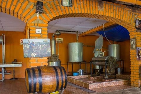 City and Tequila Tour in Puerto Vallarta — photo 5
