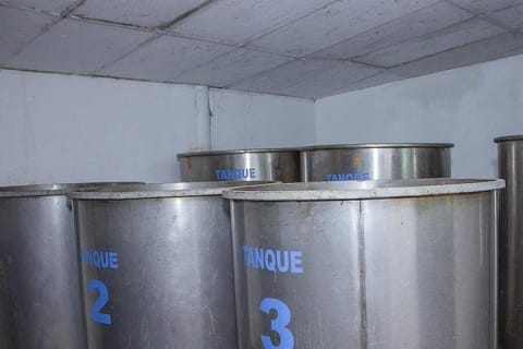 City and Tequila Tour in Puerto Vallarta — photo 8