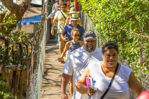 City and Tequila Tour in Puerto Vallarta — photo 13