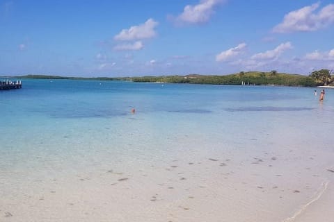 Isla Contoy — photo 7