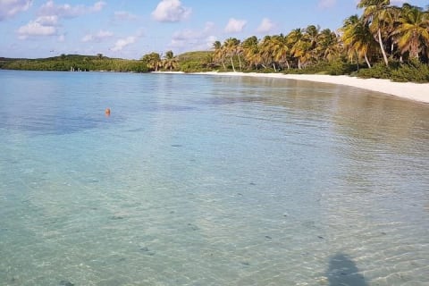 Isla Contoy — photo 9