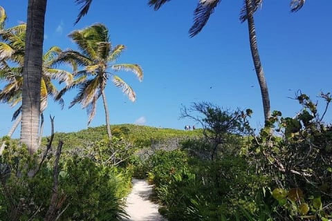 Isla Contoy — photo 11