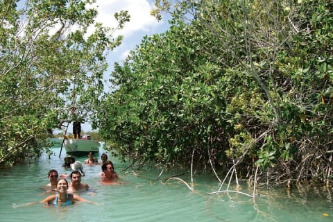 Sian Ka'an the green jewel, Biosphere Reserve Tour. Lunch & Snorkel included. — photo 5