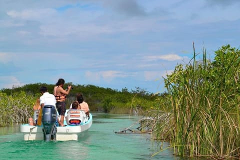 Sian Ka'an the green jewel, Biosphere Reserve Tour. Lunch & Snorkel included. — photo 4