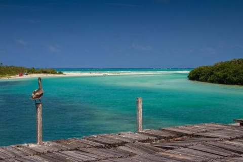 Sian Ka'an the green jewel, Biosphere Reserve Tour. Lunch & Snorkel included. — photo 6
