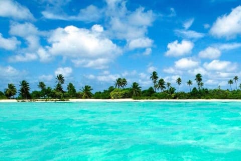 Sian Ka'an the green jewel, Biosphere Reserve Tour. Lunch & Snorkel included. — photo 8
