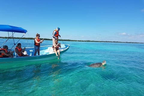 Sian Ka'an the green jewel, Biosphere Reserve Tour. Lunch & Snorkel included. — photo 9