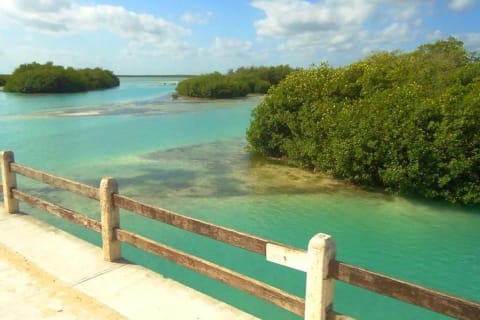 Sian Ka'an the green jewel, Biosphere Reserve Tour. Lunch & Snorkel included. — photo 11