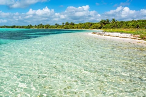 Sian Ka'an the green jewel, Biosphere Reserve Tour. Lunch & Snorkel included. — photo 14