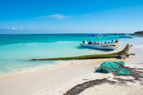 Sian Ka'an the green jewel, Biosphere Reserve Tour. Lunch & Snorkel included. — photo 15