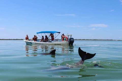 Sian Ka'an the green jewel, Biosphere Reserve Tour. Lunch & Snorkel included. — photo 10