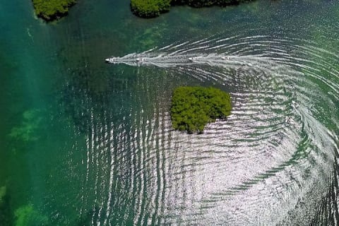 The most EXTREME SPEEDBOAT TOUR in Cancun. Includes Snorkel and Tour Guide — photo 3