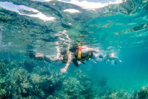 The most EXTREME SPEEDBOAT TOUR in Cancun. Includes Snorkel and Tour Guide — photo 14