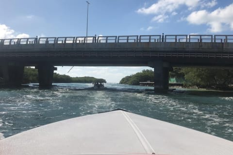 The most EXTREME SPEEDBOAT TOUR in Cancun. Includes Snorkel and Tour Guide — photo 15