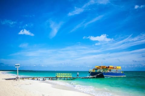 Discover the magic at HOLBOX & Punta Mosquito. Lunch included. — photo 10