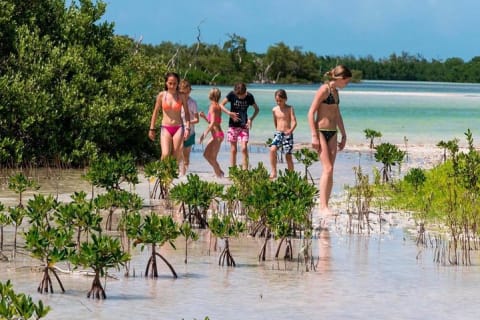 Discover the magic at HOLBOX & Punta Mosquito. Lunch included. — photo 11