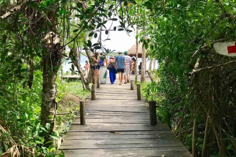 SUPER Tour Kaan Luum Lagoon, 2 different Cenotes. Lunch included — photo 5