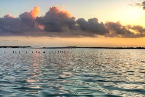 Magical BACALAR TOUR with Pontoon Boat ride. (Transportation + Breakfast + Food) — photo 8