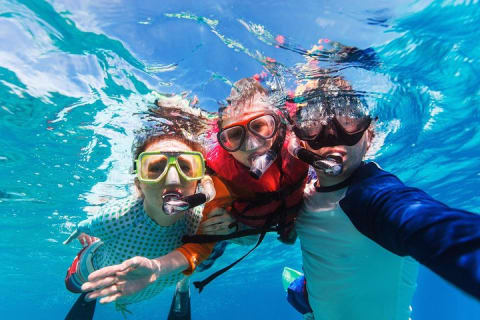Snorkel in El Cielo Cozumel Reef with Lunch, Beach and Transport — photo 3