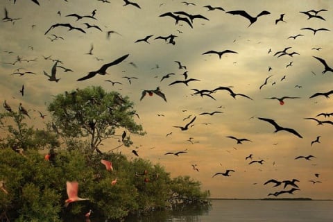 1 Day Tour to Bacalar, Cenotes and 7 color Lagoon with lunch from Cancun — photo 13