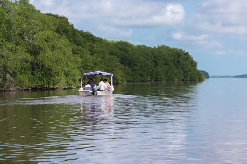 1 Day Tour to Bacalar, Cenotes and 7 color Lagoon with lunch from Cancun — photo 15