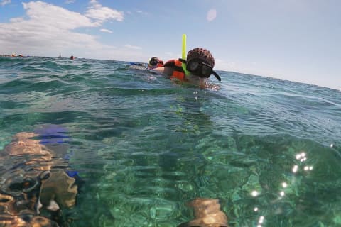 Reef Snorkeling with ATV, Zipline, Cenote that includes lunch and transportation — photo 3