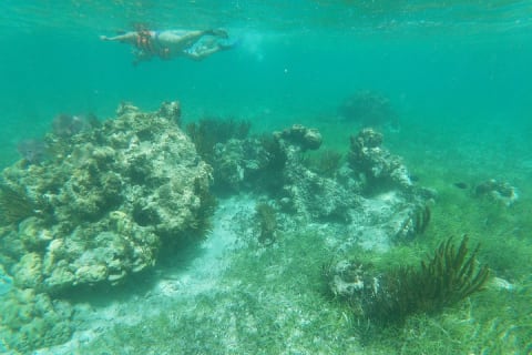 Reef Snorkeling with ATV, Zipline, Cenote that includes lunch and transportation — photo 4