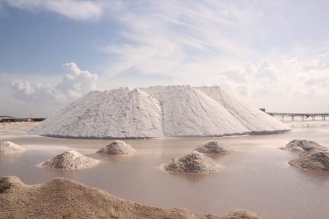 Paradisiacal tour: Las Coloradas Pink Lake and Rio Lagartos with Lunch included. — photo 6