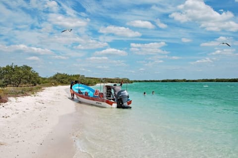 Paradisiacal tour: Las Coloradas Pink Lake and Rio Lagartos with Lunch included. — photo 8