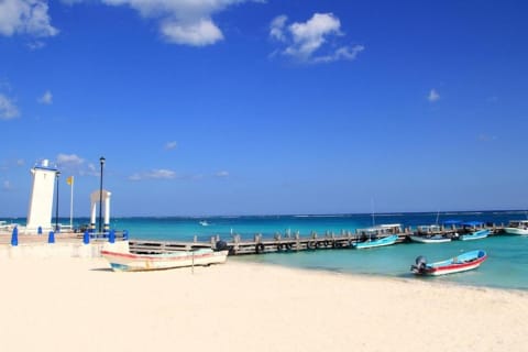 Snorkel in the second largest reef in the world Colorful tour in Puerto Morelos — photo 6
