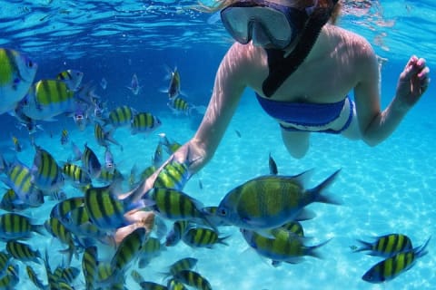 Snorkel in the turquoise Caribbean Sea in Puerto Morelos. Transport included — photo 1
