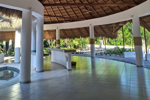 Salsa Classes Tulum and Bachata — photo 4