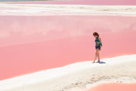 Rio Lagartos Biosphere + Coloradas Gorgeous Pink Lake! From Tulum — photo 4