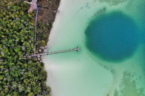 Explore the Mayan Jungle in Tulum. 2 Cenotes, Kaan Luum Lagoon — photo 2