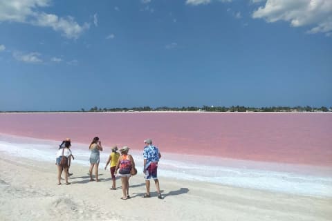 Paradisiacal tour: Las Coloradas Pink Lake and Rio Lagartos with Lunch included. — photo 3