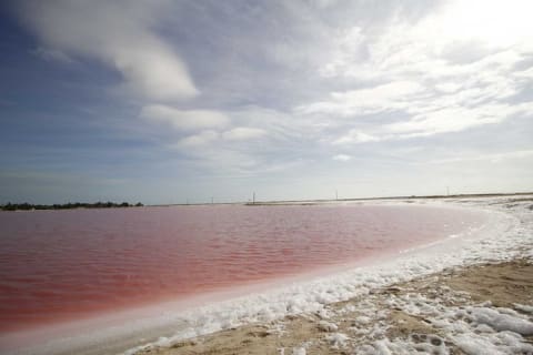 Paradisiacal tour: Las Coloradas Pink Lake and Rio Lagartos with Lunch included. — photo 5