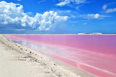 Paradisiacal tour: Las Coloradas Pink Lake and Rio Lagartos with Lunch included. — photo 4