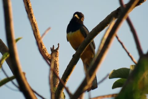 Birdwatching Sian Ka'an Biosphere Reserve — photo 6