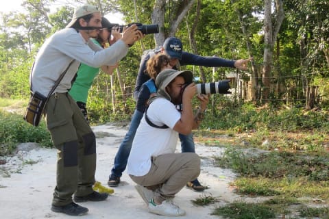 Birdwatching Sian Ka'an Biosphere Reserve — photo 3