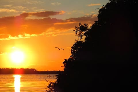 Kayak Sian Ka’an Biosphere Reserve Sunset Tour — photo 7