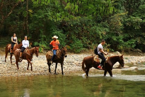 Excursion à cheval — photo 10