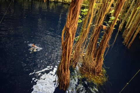 Private Tour - The best Cenotes in Yucatan - Suytun & Oxman — photo 9