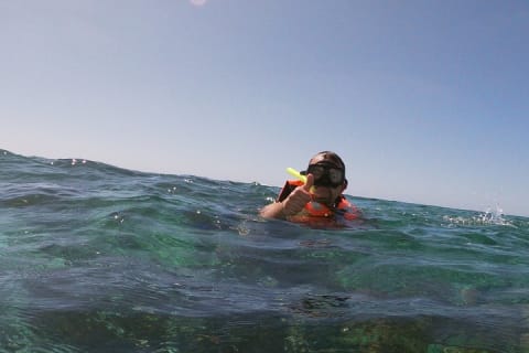 Guided Tour of Puerto Morelos Reefs with Snorkeling Experience — photo 5