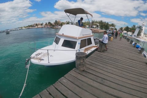 Guided Tour of Puerto Morelos Reefs with Snorkeling Experience — photo 9