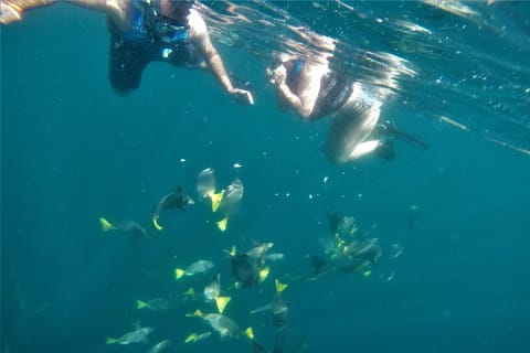 Aventure snorkeling et randonnée vers une plage cachée — photo 13
