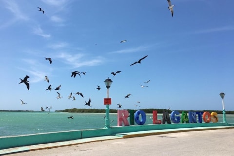 Discover the FABULOUS PINK WATERS in the Caribean — photo 5