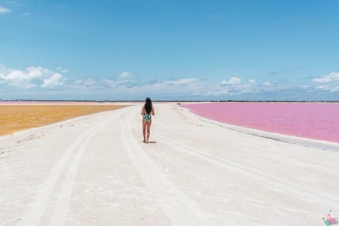 Discover the FABULOUS PINK WATERS in the Caribean — photo 4